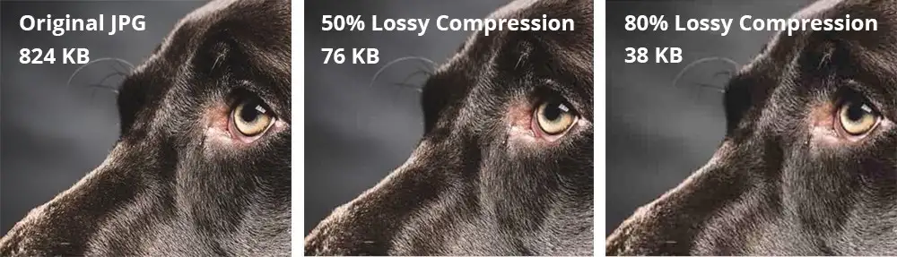 Image compression visualization